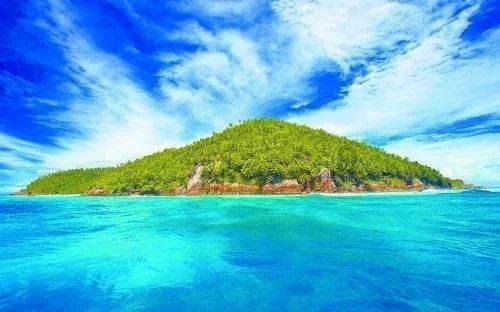 葱要怎么保鲜不会烂